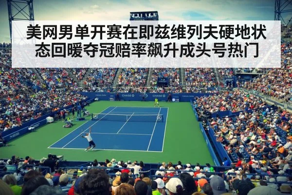 US Open tennis court